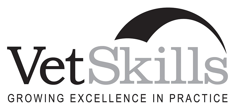 VetSkills