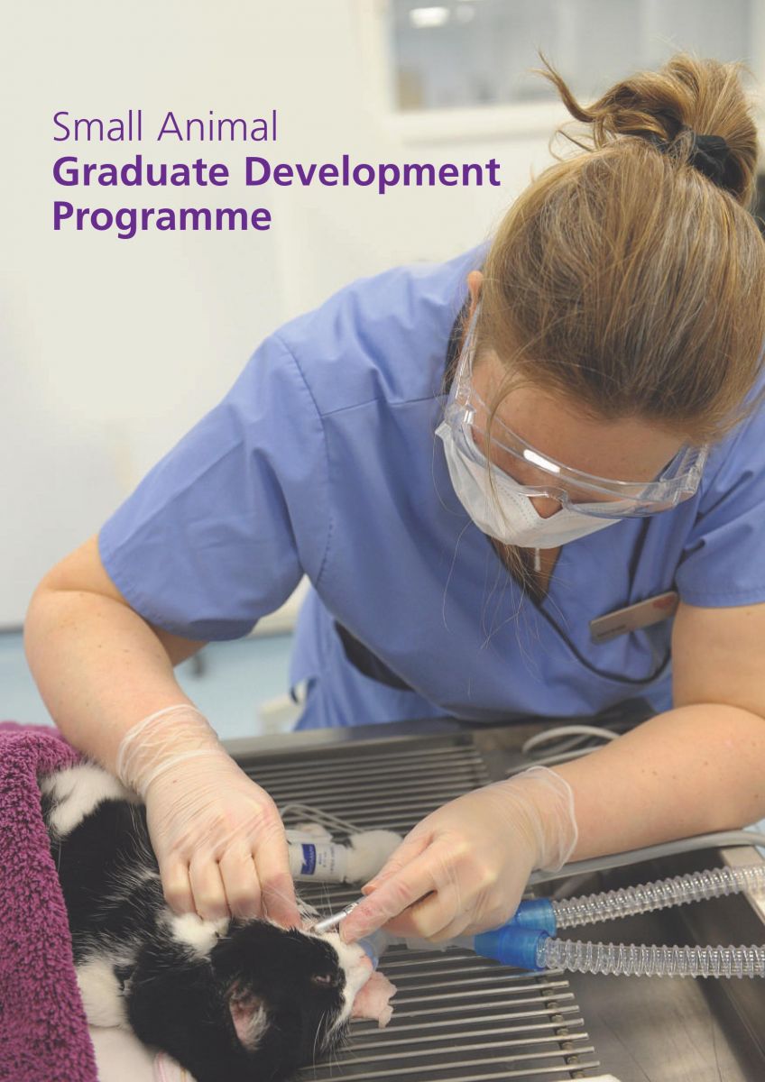 XLVets Small Animal Graduate Development Programme Brochure