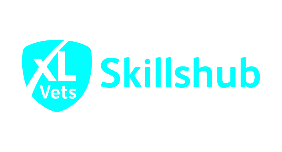 VetSkills