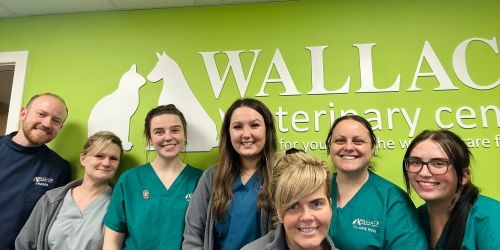 Over 60 independent practices now benefit from XLVets community as Wallace Vets joins the membership