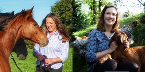 Intrepid duo open new vet practice with the support of the XLVets community
