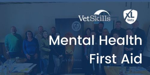 Mental Health First Aid