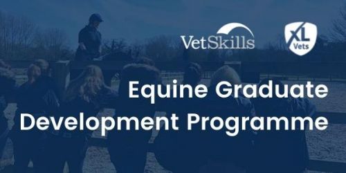 XLVets Equine Graduate Development Programme