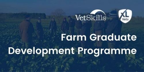 XLVets Farm Graduate Development Programme