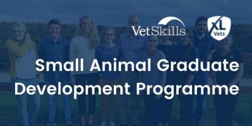 XLVets Small Animal Graduate Development Programme