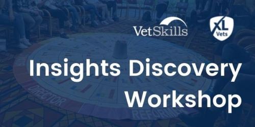 Insights Discovery Workshop