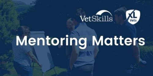 Mentoring Matters