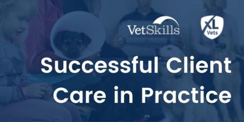 Successful Client Care in Practice