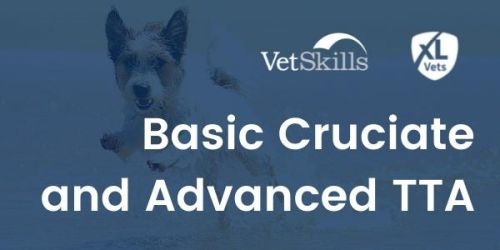 Advanced TTA and Basic Cruciate