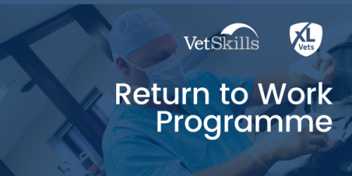 Return to Work Programme