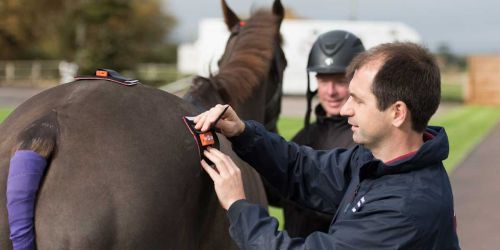 Andrew Wallace becomes the first RCVS Advanced Practitioner in Equine Lameness