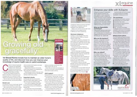 Horse - December 2015