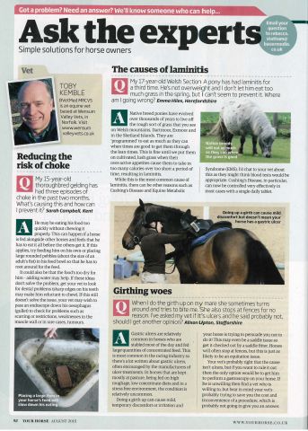 Your Horse - August 2015