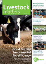 Livestock Matters - Autumn 2019