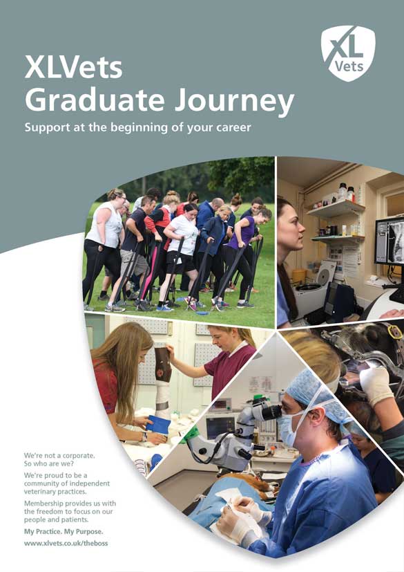 XLVets Graduate
 Journey