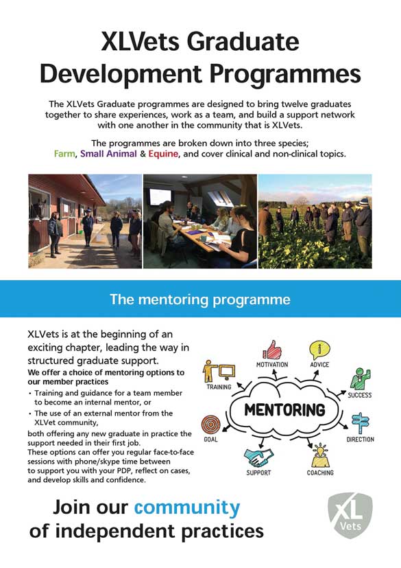 Graduate Development Programme