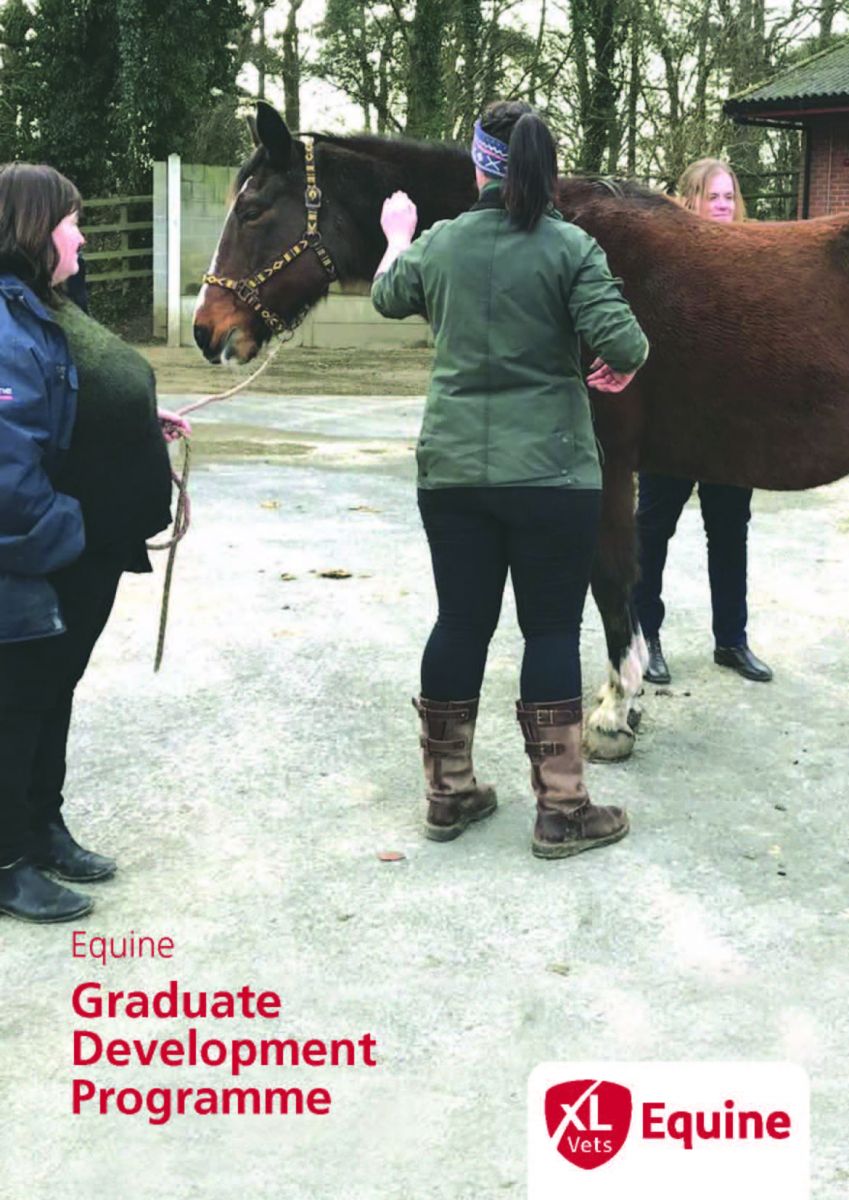 Equine Graduate Development Programme