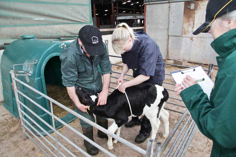 FarmSkills