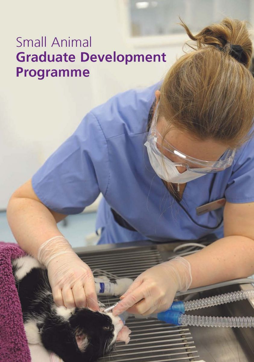 Small Animal Graduate Development